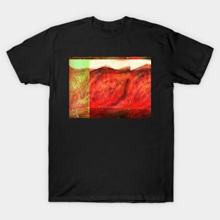 Remarkables T-Shirt